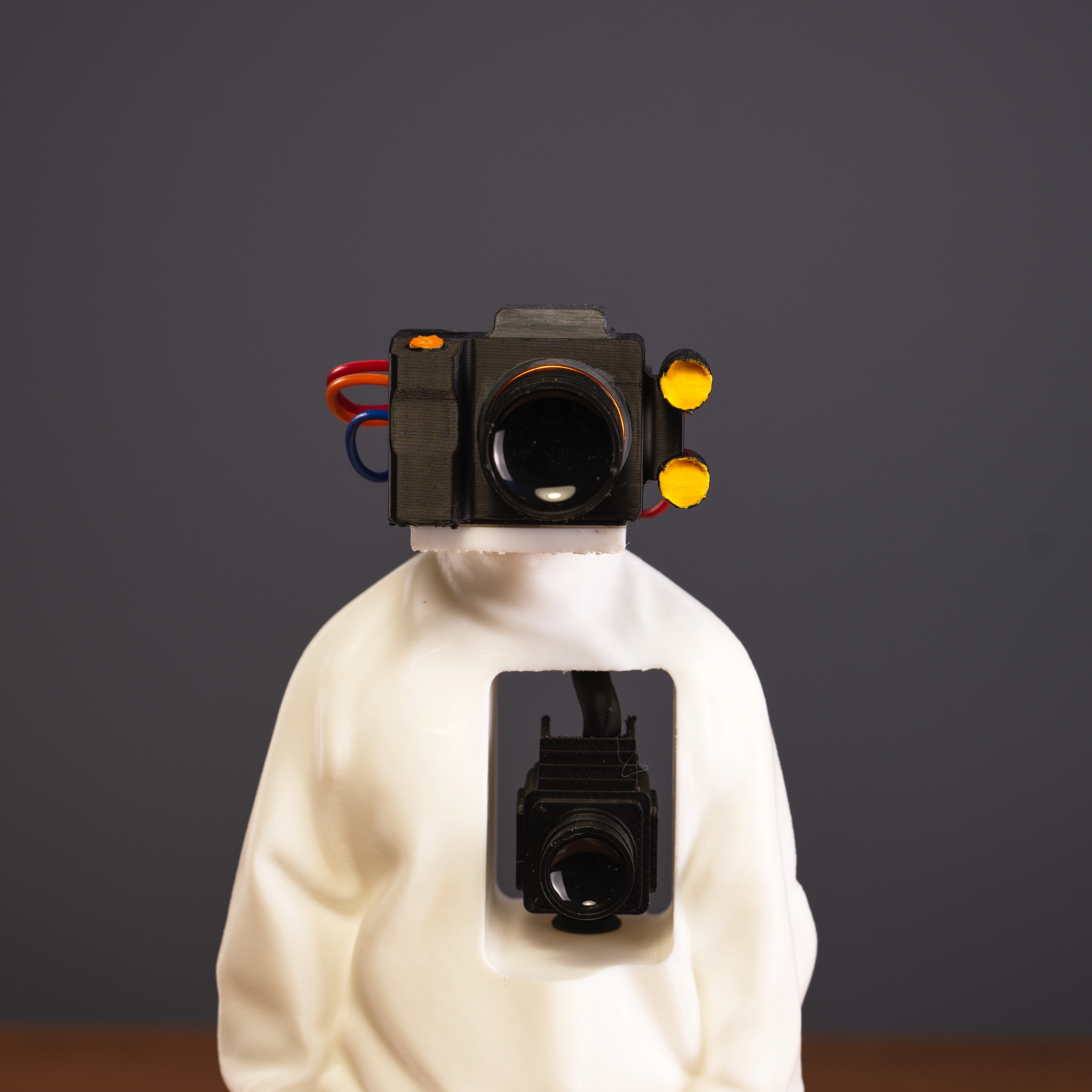 Camera head alternate primary view